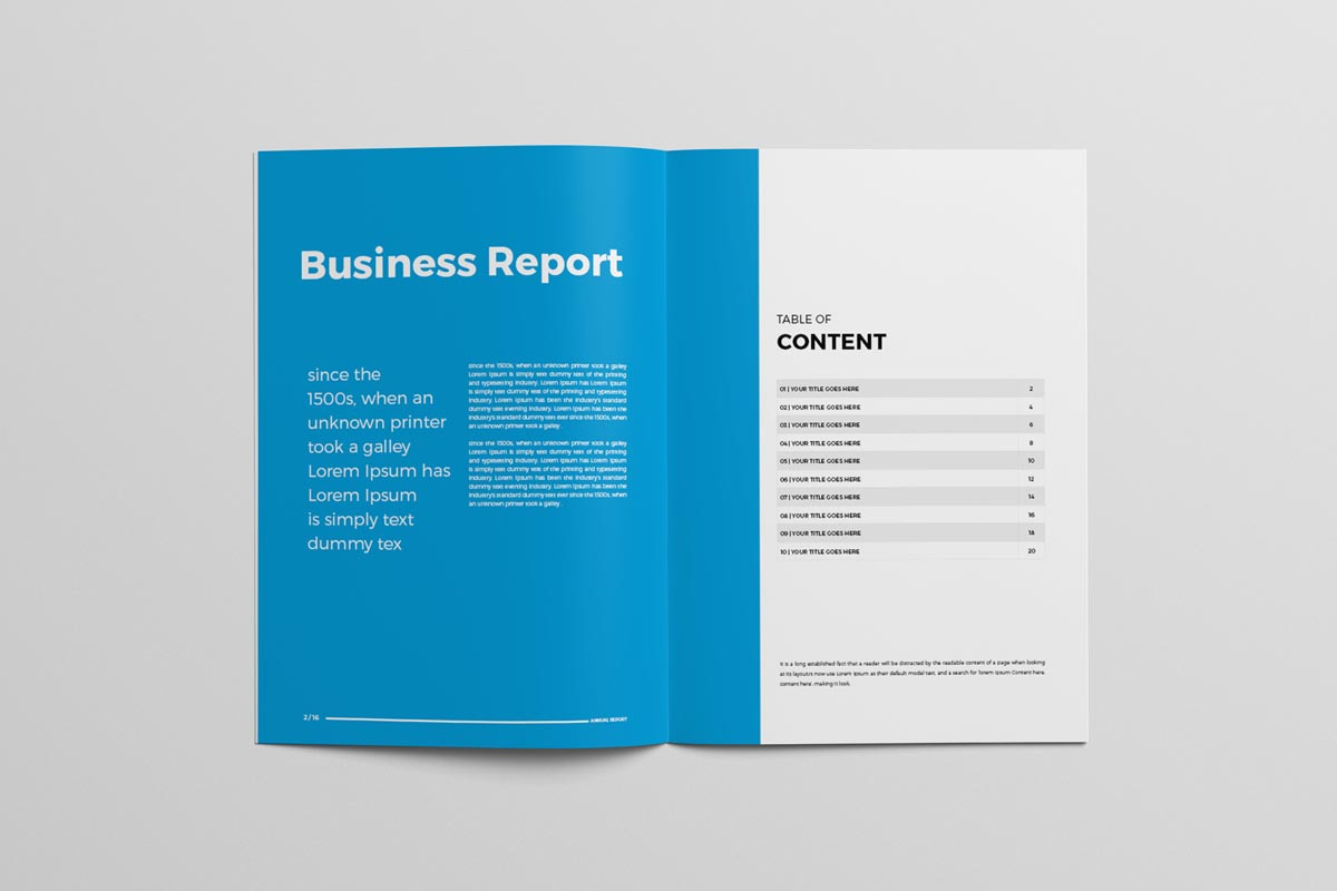 Annual Report Brochure, a Brochure Template by New Lines (Photo 2 of 8)