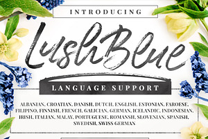 LushBlue LOGO KIT Font & Swashes!