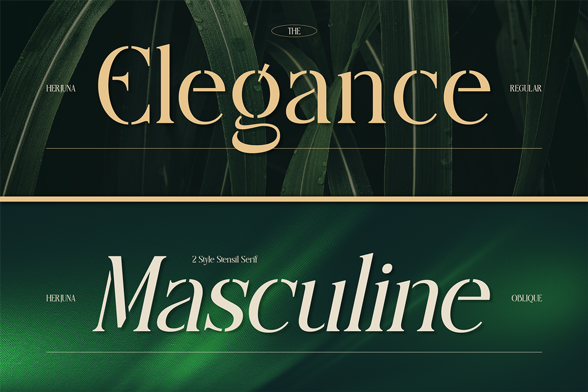 Herjuna, a Serif Font by Burntilldead (Photo 4 of 12)