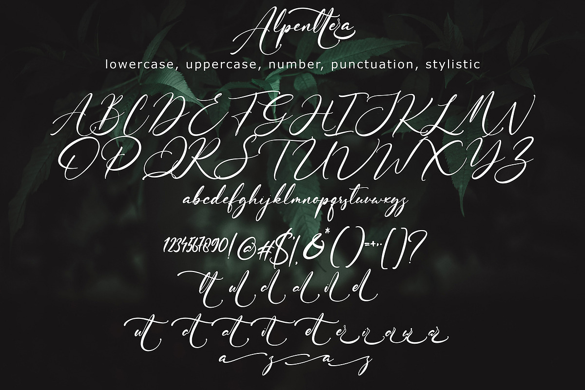 Alpenttera, a Script Font by pineungtype (Photo 9 of 9)