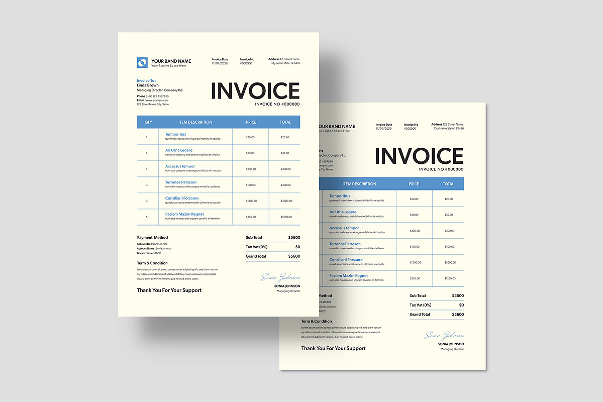Invoice Template, a Flyer Template by BrandPacks