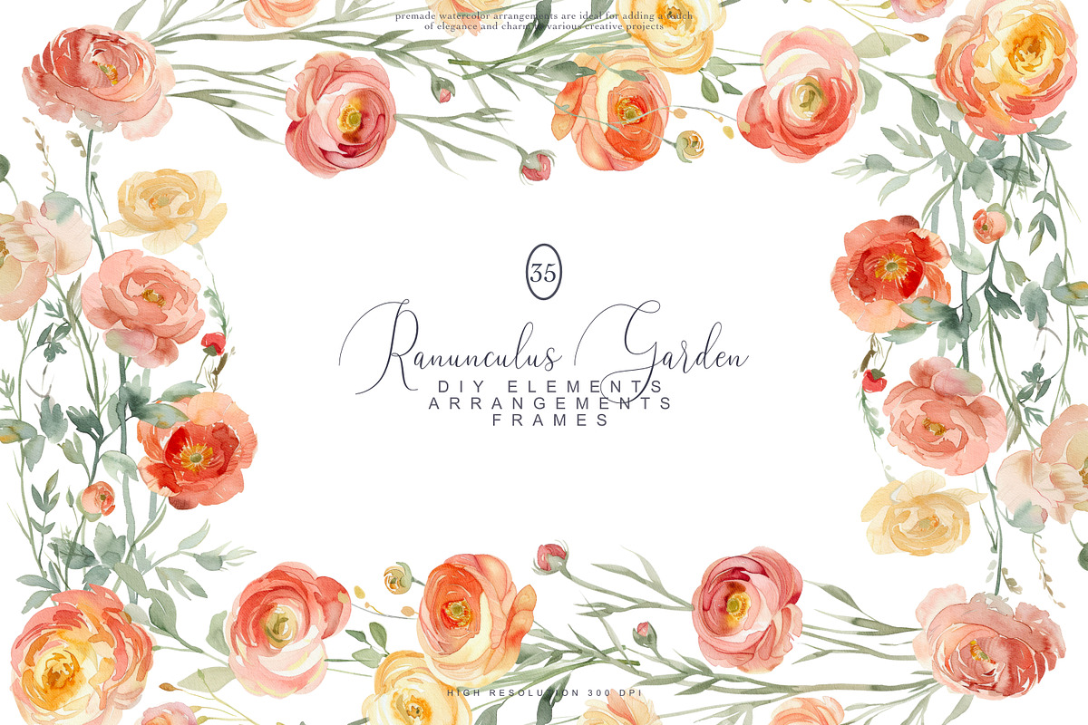 Watercolor Ranunculus Clipart Set, a Decorative Illustration by Patishop Art (Photo 5 of 10)
