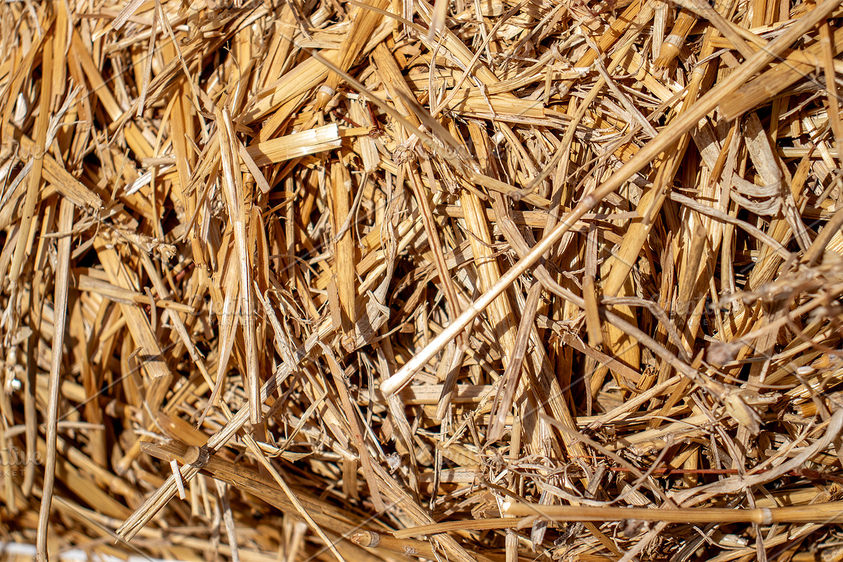 The straw lies on the ground, an Abstract Photo by Schreibikus (Photo 4 of 7)