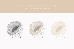 Summer Sunflowers Vector Graphics