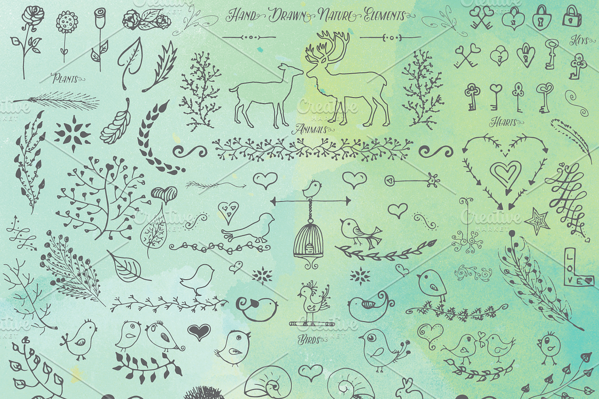 Hand Drawn Nature Elements, an Animal Illustration by Bugcessories