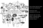 Mushrooms - vector illustration set, a Food Illustration by Renée from Studio neetje (Thumbnail 2 of 6)