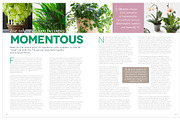 Magazine Template InDesign 16, a Magazine Template by Love Graphic Design (Thumbnail 16 of 20)