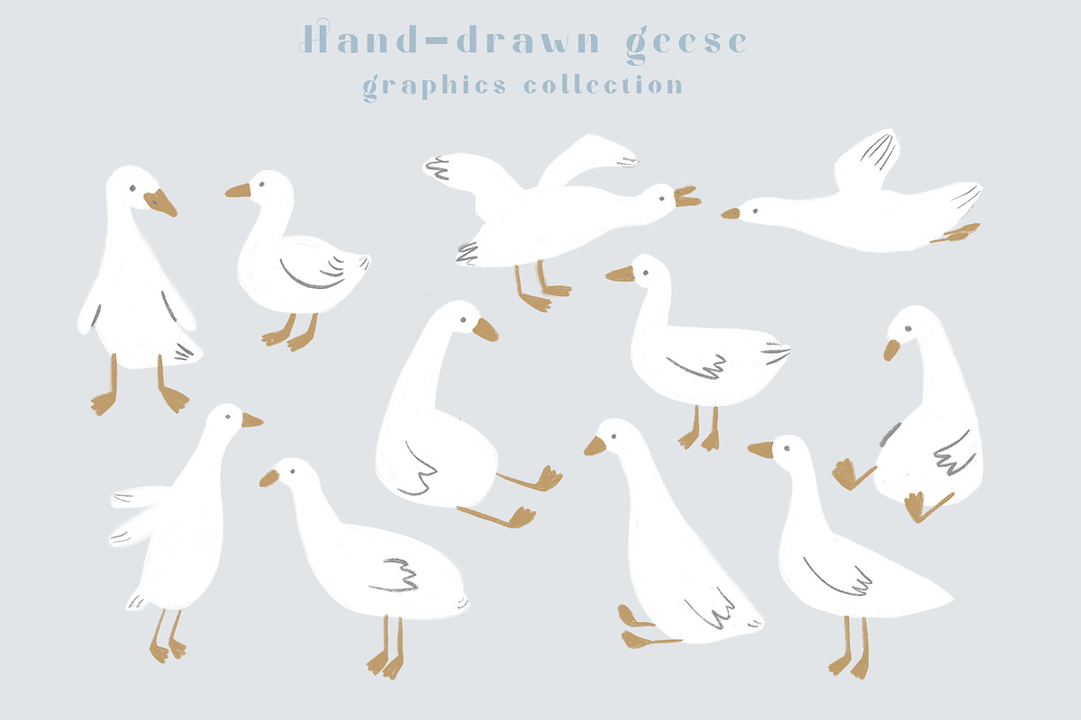 Handdrawn Geese clip art collection, an Animal Illustration by Katie Lisker