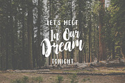 Stay Wildy, a Script Font by Dikas Studio (Thumbnail 2 of 9)
