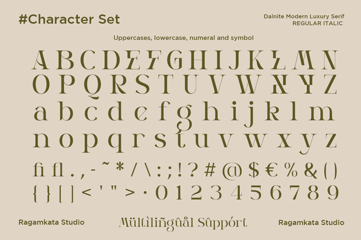 Dalnite - Modern Luxury Font, a Serif Font by RagamKata (Photo 10 of 11)