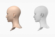 Natural Female Head 01 Generic Mesh, a Characters & Person 3D Model by VK Studio (Thumbnail 8 of 19)