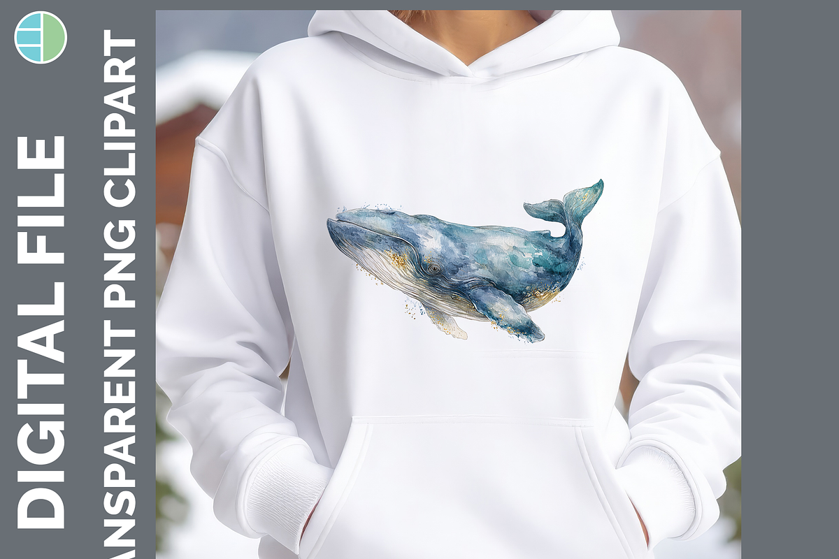 Whale Illustration Bundle, 20 PNG, an Animal Illustration by Enliven Designs (Photo 3 of 8)