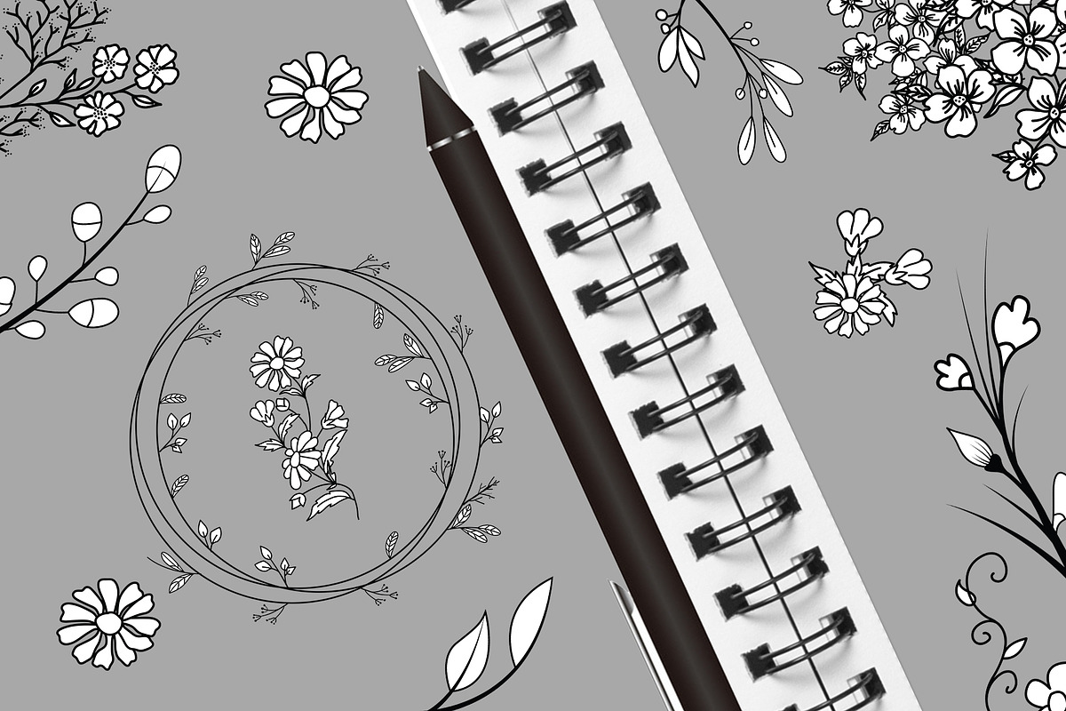 Hand Drawn Botanical Elements, a Decorative Illustration by Pixavics (Photo 6 of 11)