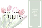 Spring Tulips, an Illustration by Instinct Design Co (Thumbnail 1 of 2)
