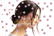 100+ Mermaid Angel Overlays, a Texture Graphic by Lilithcollageart (Thumbnail 3 of 19)
