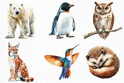 Watercolor Wildlife Nature Animals, an Illustration by Craft Nest (Thumbnail 2 of 6)