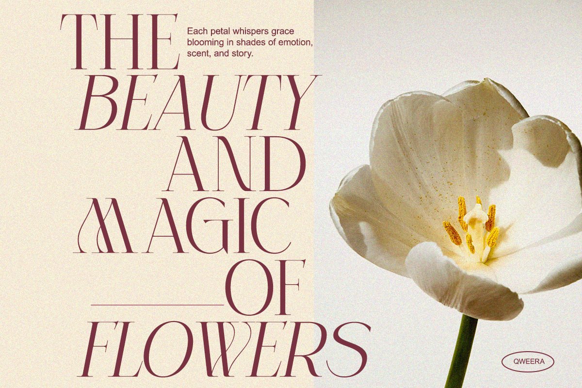 Celestira - Modern Elegant Luxury, a Serif Font by Qweera Studio (Photo 2 of 12)