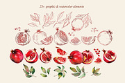 Pomegranate fruits, a Food Illustration by Jeanna Draw (Thumbnail 4 of 10)