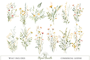 Watercolor Wildflower Clipart Bundle, an Illustration by MockupWizard (Thumbnail 3 of 5)