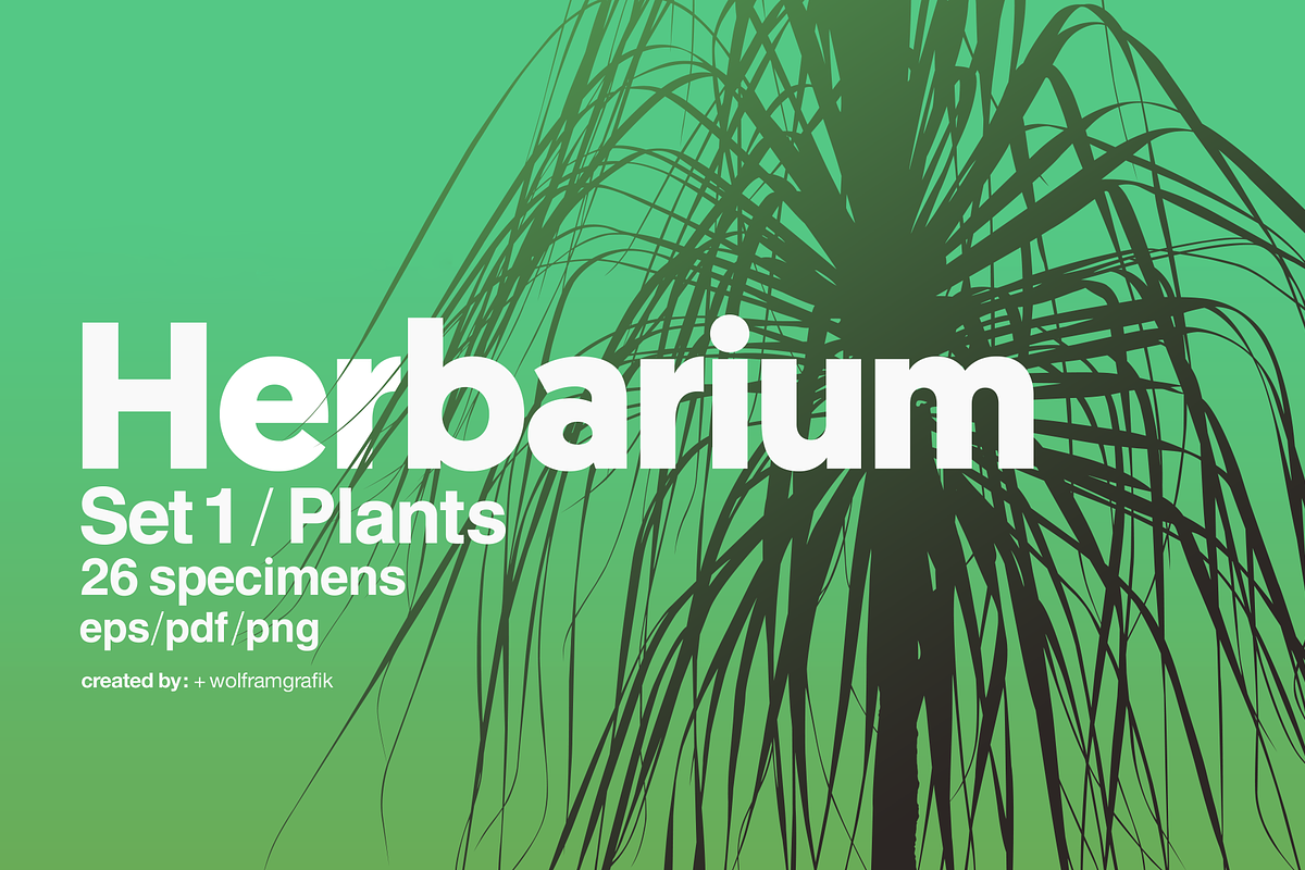 Herbarium: Set 1, a Decorative Illustration by Texture Fabrik (Photo 1 of 19)