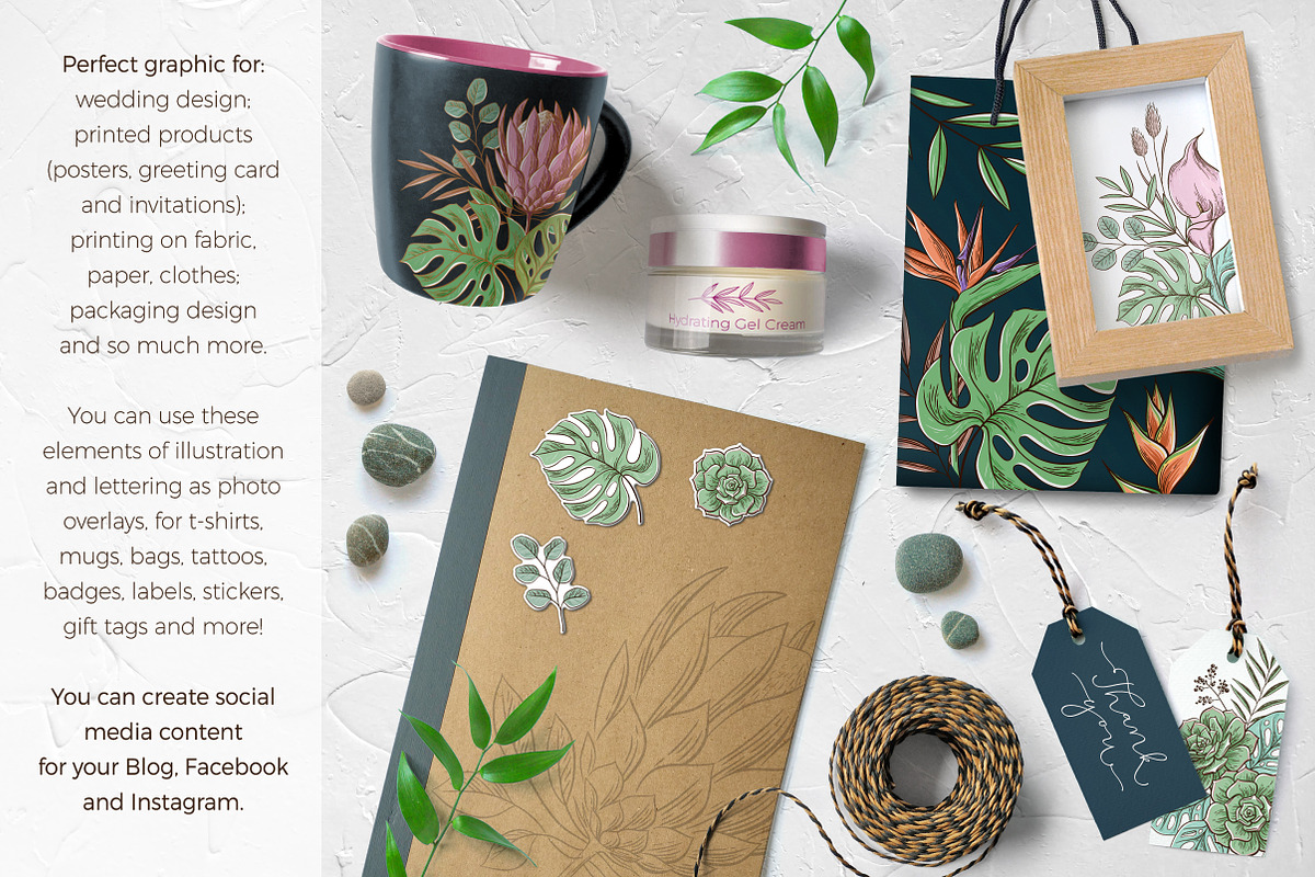 Tropical floral set | 105 elements!, an Object Illustration by bariskina (Photo 2 of 14)