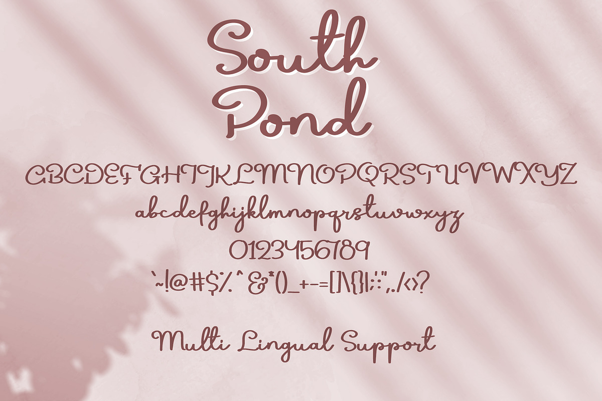 South Pond, a Script Font by Dm Studio (Photo 6 of 6)