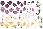 Plum Floral Clipart & Vectors, an Illustration by Amanda Ilkov (Thumbnail 3 of 3)