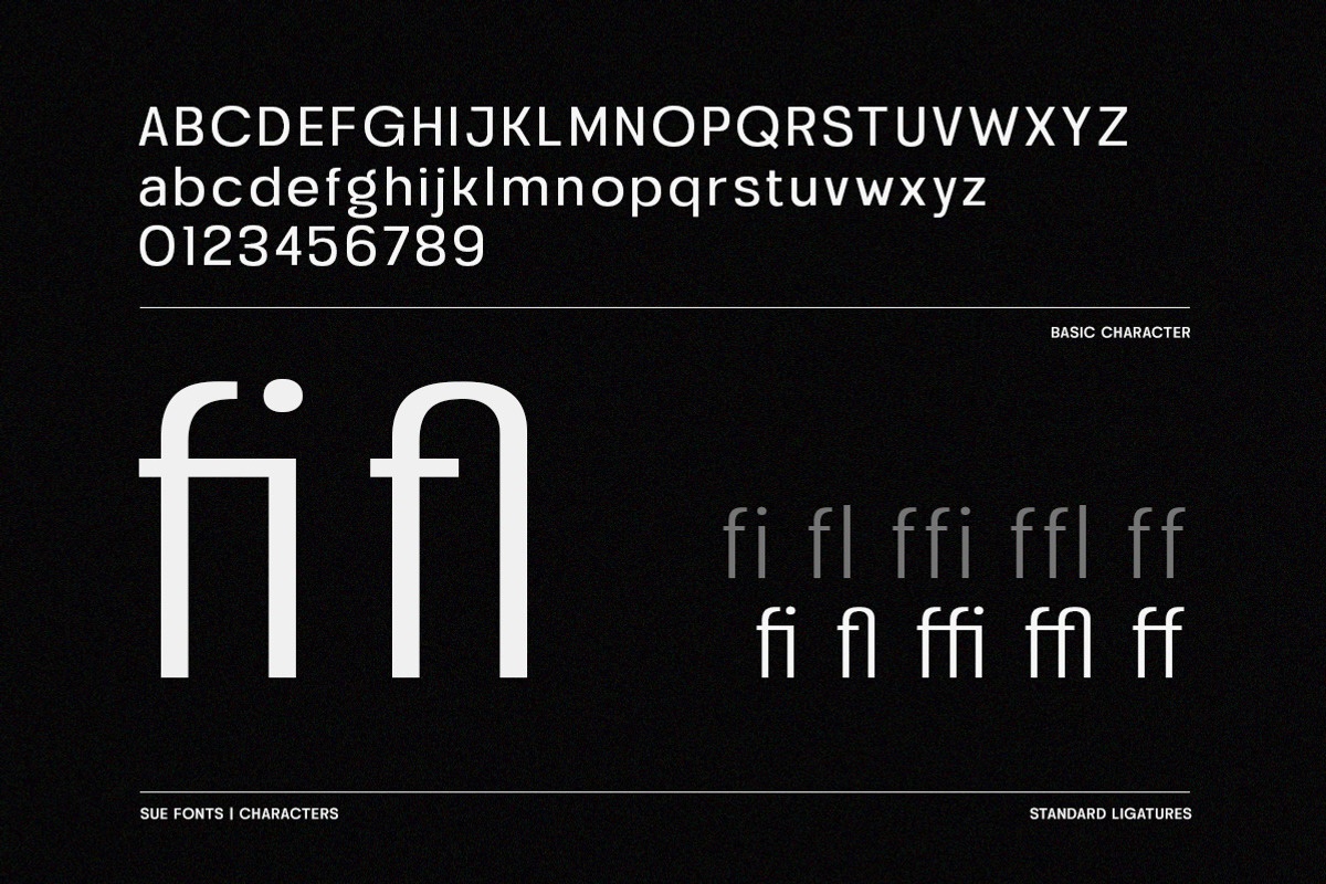 Sue - Variable & Family Sans Serif, a Sans Serif Font by Typeskets (Photo 8 of 13)