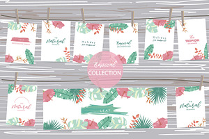 12 cute tropical design cards2#