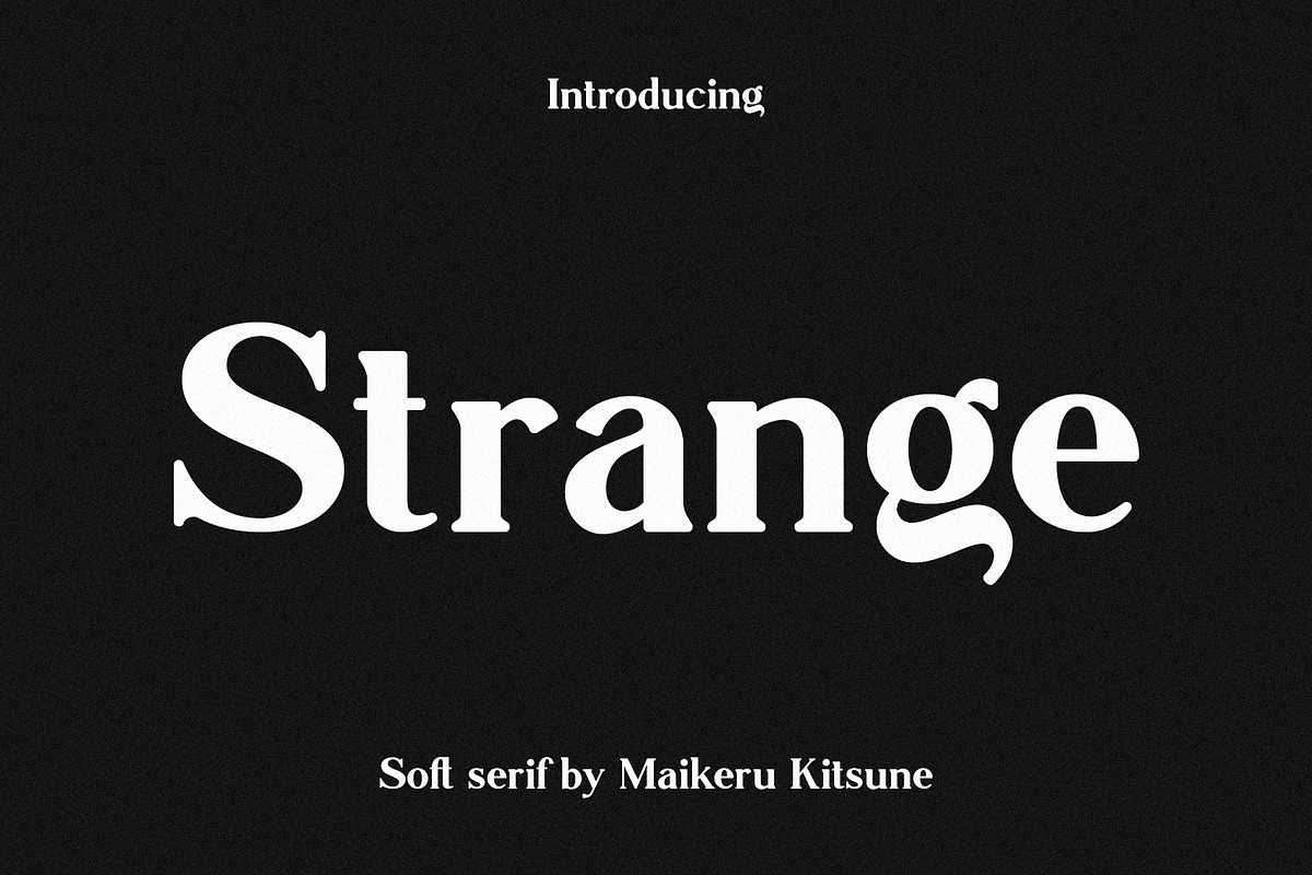 Strange - Soft Serif, a Serif Font by Mikhail Kitsune (Photo 9 of 11)