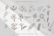 Mirabelya, a Script Font by Typeskets (Thumbnail 12 of 12)