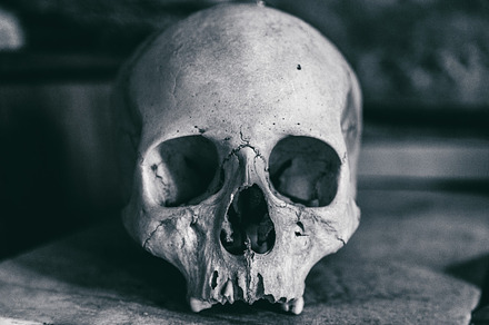 Dramatic Human skull