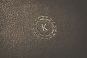24 Elegant Logo Templates, a Branding & Logo Template by Sarten (Thumbnail 5 of 7)