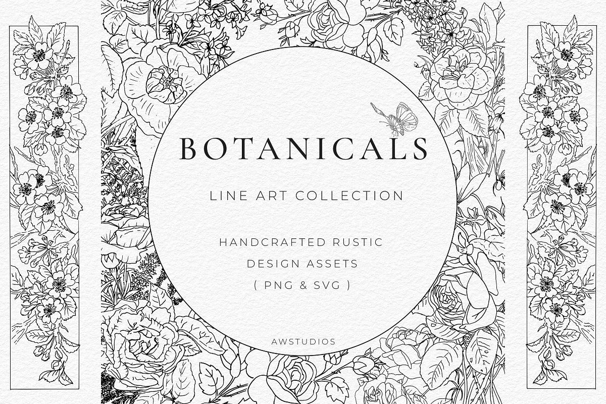 Botanical Line Art - Hand Drawn, a Decorative Illustration by AW Studios
