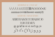 Ficoria || Modern Serif Font, a Serif Font by Idea Studio (Thumbnail 10 of 10)