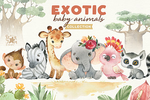Exotic Baby Animals