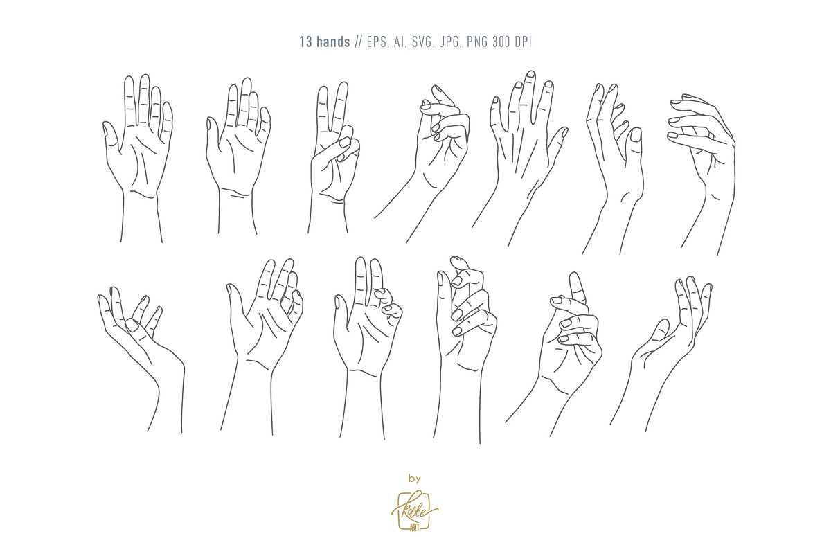 WILDFLOWER LINE ART, an Object Illustration by Kate Art (Photo 11 of 22)