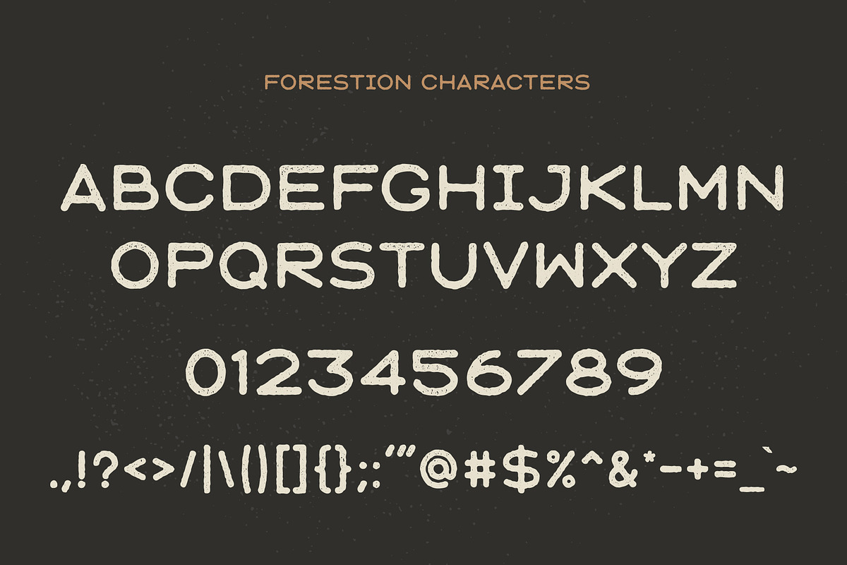 SALE : Forestion Font, a Sans Serif Font by FlashGraphics (Photo 3 of 7)