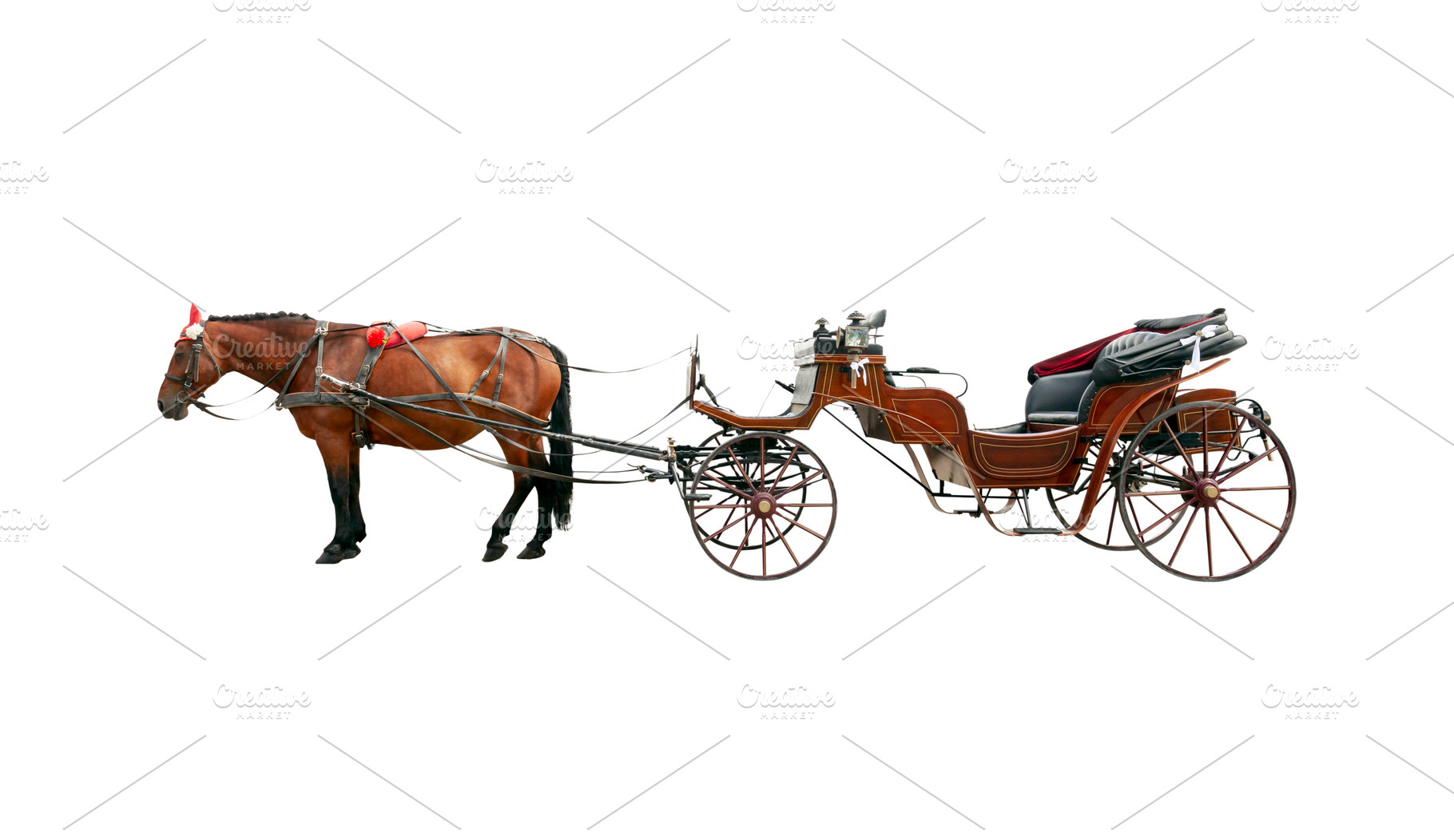 Horse and old carriage isolated, a Transportation Photo by BOOCYS