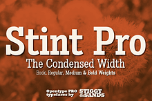 Stint Condensed Pro Family