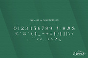 Beezle Modern Serif Font, a Serif Font by Idea Studio (Thumbnail 9 of 10)