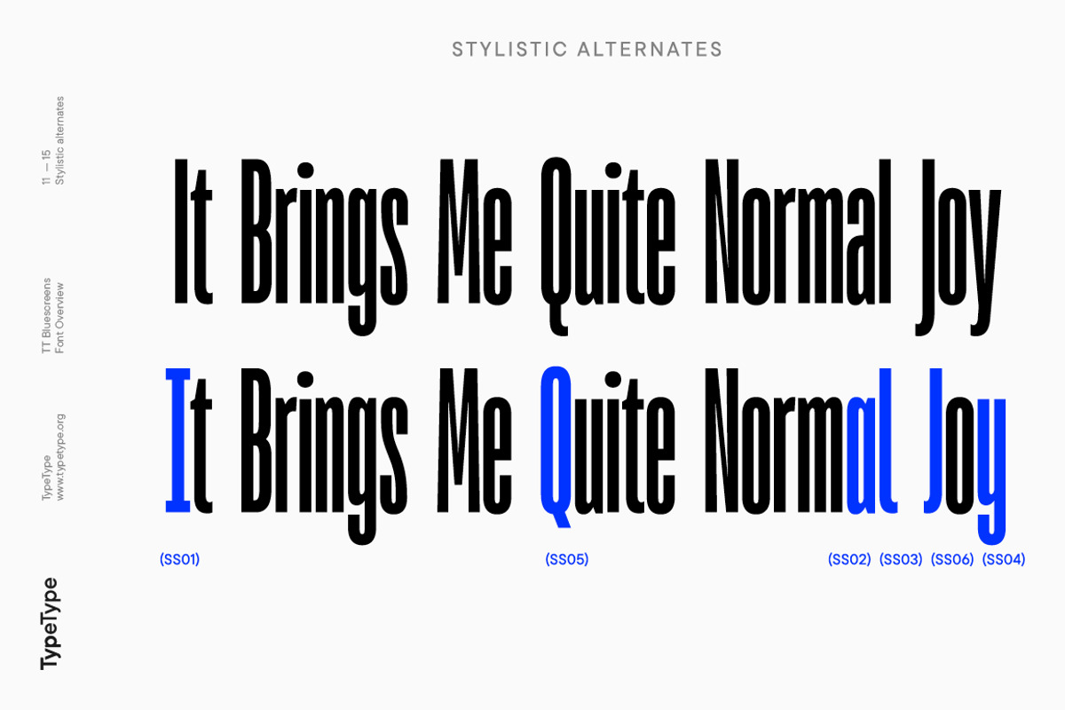 TT Bluescreens, a Sans Serif Font by TypeType (Photo 11 of 15)