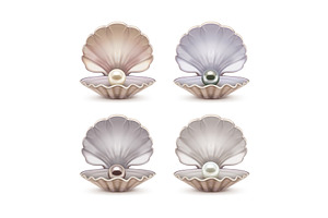 Sea Shells with Pearls Set