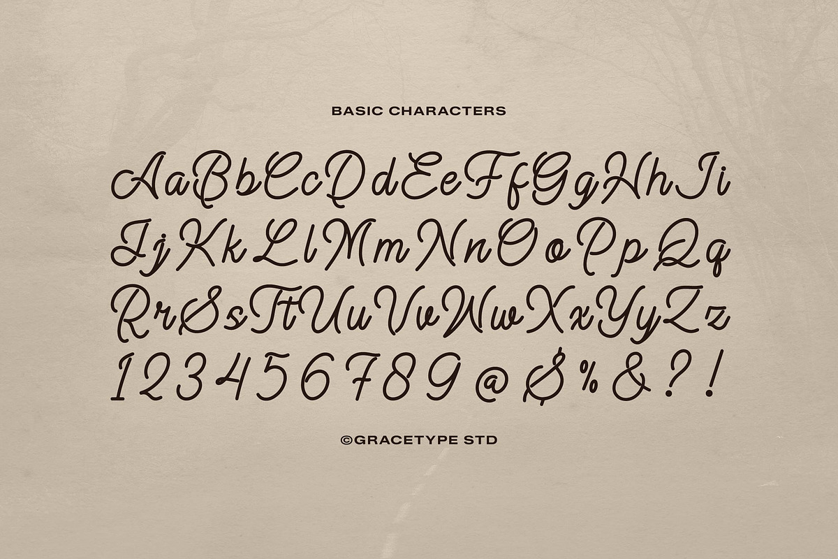 Alontima | Monoline Script, a Script Font by gracetype_studio (Photo 10 of 12)