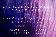 Sandrine Brush Font. Script., a Script Font by Wewhitelist (Thumbnail 3 of 9)
