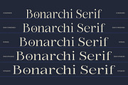 Bonarchi - Family Font, a Serif Font by Rastype (Thumbnail 7 of 10)