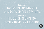BERRY FESTIVE Farmhouse Christmas, a Sans Serif Font by Blush Font Co. (Thumbnail 4 of 6)