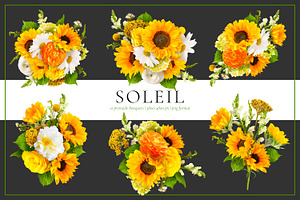 Soleil Floral Patterns & Clip Art