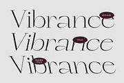 CS Ramsey – Elegant Font, a Serif Font by Craft Supply Co. (Thumbnail 3 of 8)