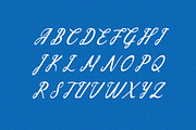 Vintage Regal Handwritten Font, a Handwritten Font by UICreative (Thumbnail 6 of 13)